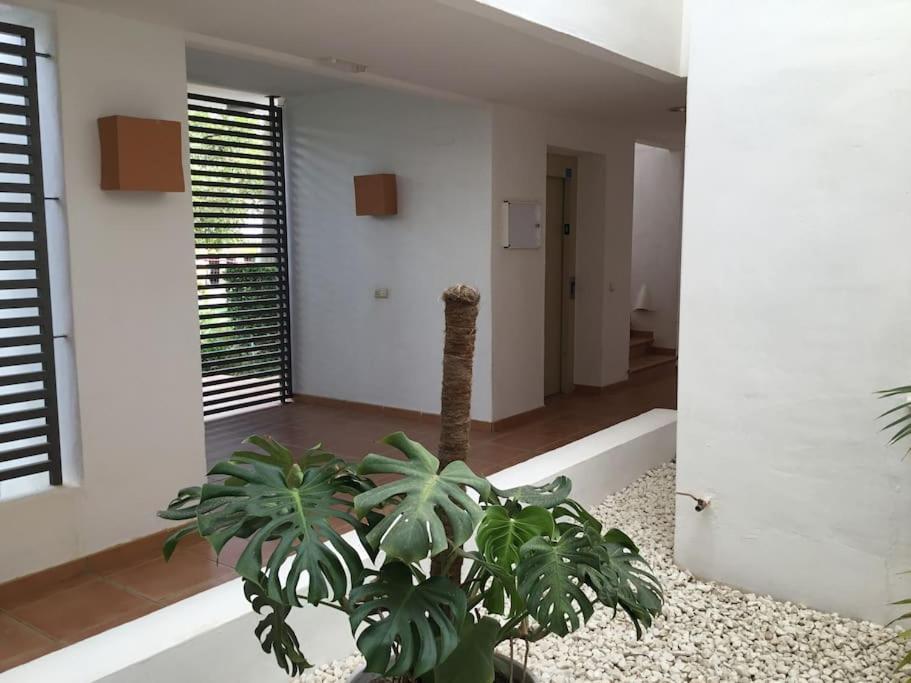 Alcazaba Blue Lagoon 3 Bedroom, Ground Floor Apartment Estepona Exteriér fotografie